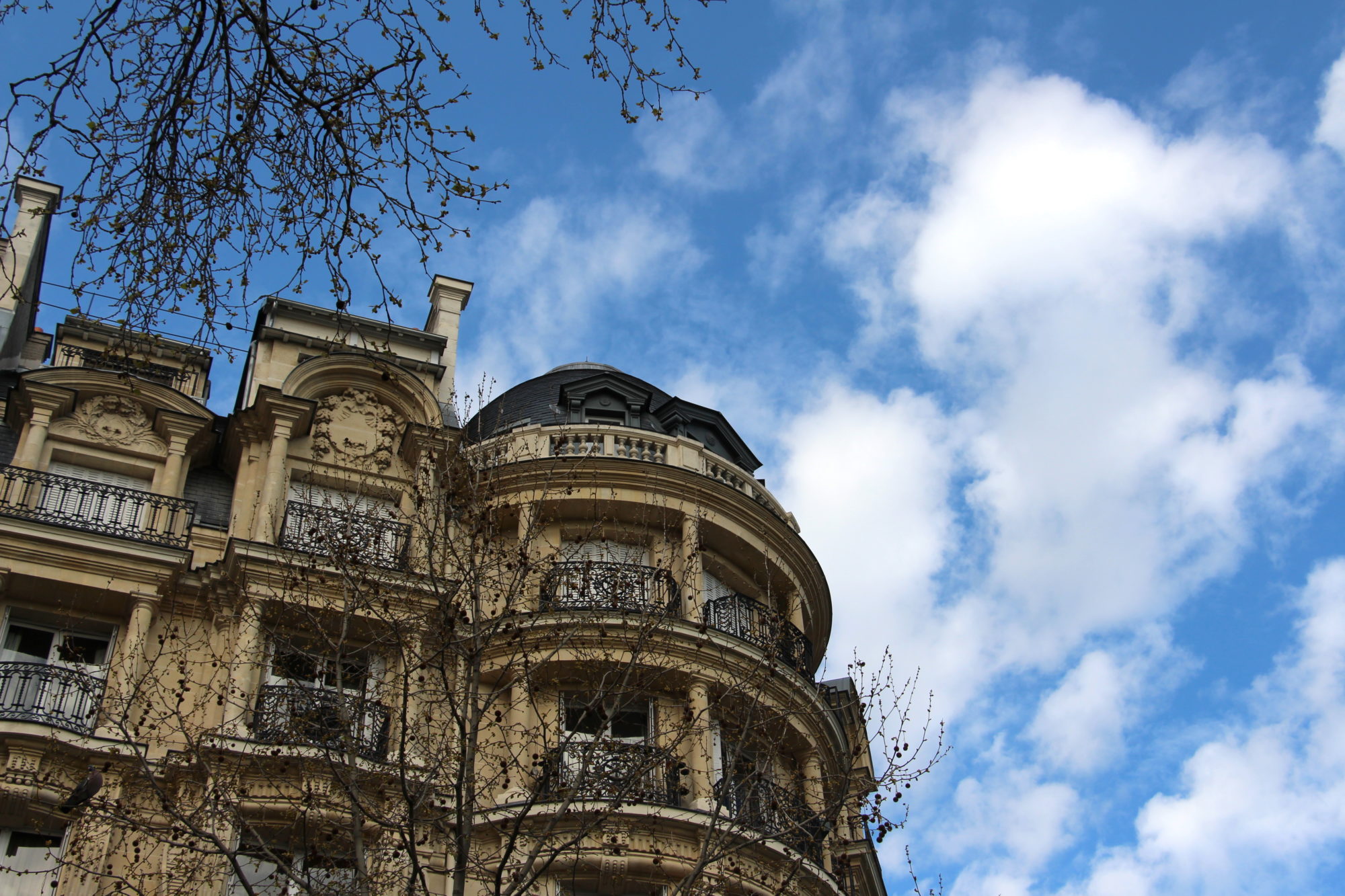 paris rooftop