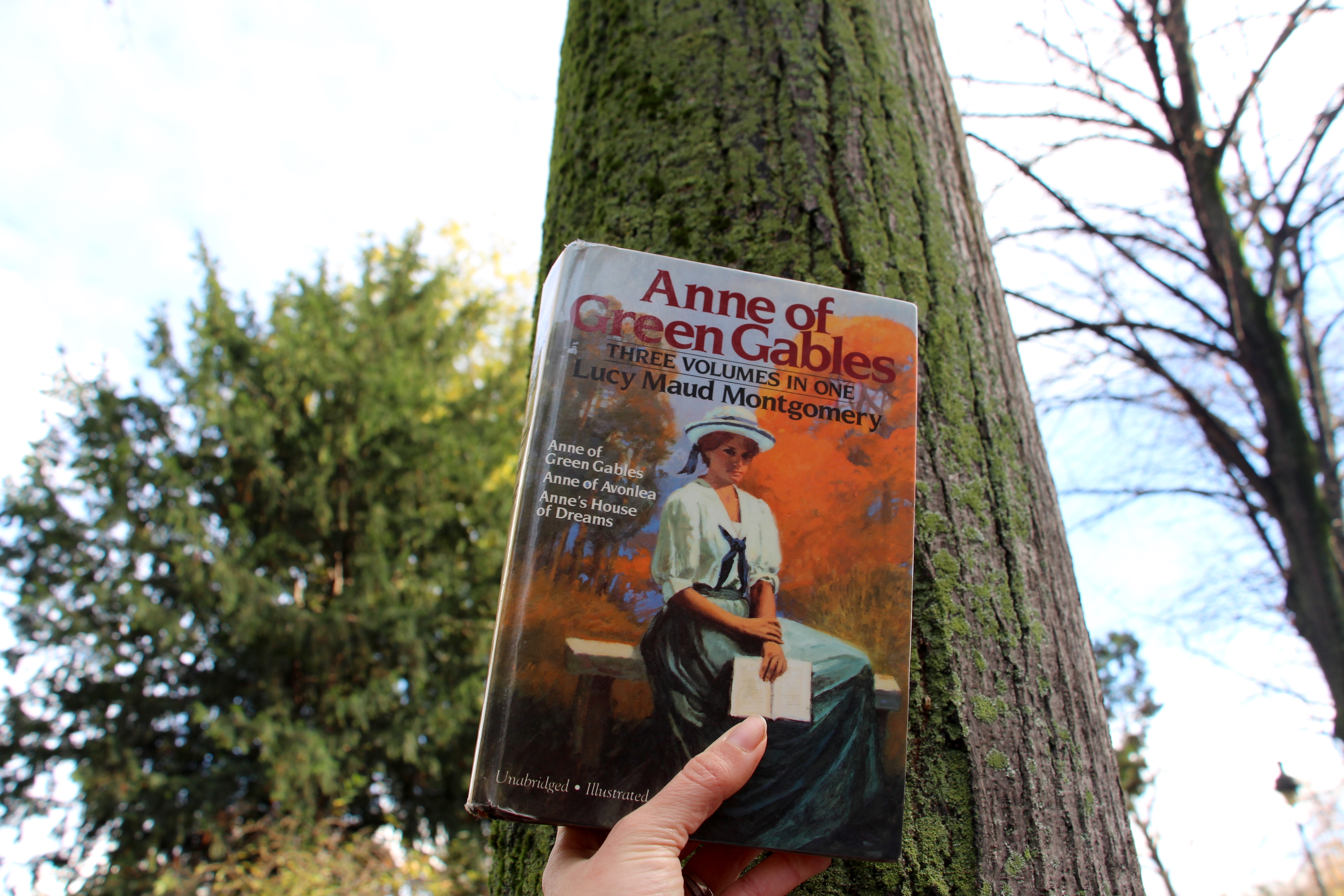 anne of green gables